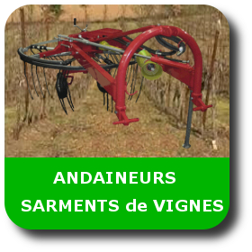 andaineurs sarments_de_vignes_dcm_ga_rami